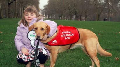 মানুষের সবচেয়ে কাছের বন্ধু, গন্ধ শুঁকে করোনা ধরতে তৈরি হচ্ছে  সারমেয় বাহিনী