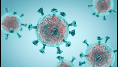 ആഫ്രിക്കയിലും പിടിമുറുക്കി കൊവിഡ്; 117 മരണം, രോഗമെത്തുന്നത് ആഭ്യന്തരസംഘര്ഷങ്ങള്ക്കിടെ