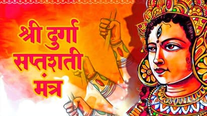 चैत्र नवरात्रि में करें दुर्गा सप्तशती के इन मंत्रों का जाप, दूर हो सकती हैं आपकी परेशानियां