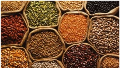 അവശ്യവസ്തുക്കളുടെ വില നിശ്ചയിച്ചു; വ്യാപാരികൾ തോന്നിയ വിലയിട്ടാൽ നടപടി