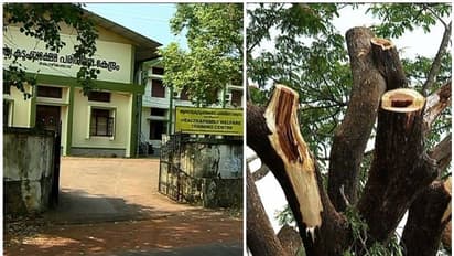 കൊവിഡിന്റെ മറവിൽ കോഴിക്കോട് ആരോഗ്യ കുടുംബക്ഷേമ പരിശീലന കേന്ദ്രത്തിൽ അനധികൃത മരംമുറി