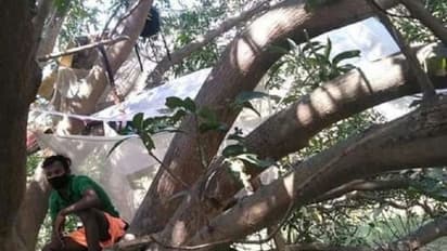 जानें क्यों पश्चिम बंगाल में पेड़ों में रहने को मजबूर हैं प्रवासी