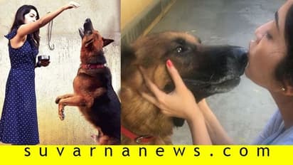 ಮುದ್ದಿನ ನಾಯಿ ಇನ್ನಿಲ್ಲ; ಡಿಪ್ರೆಶನ್ಗೆ ಹೋದ ನಟಿ ರಮ್ಯಾ!