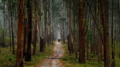 സംസ്ഥാനത്തെ ഇക്കോ ടൂറിസം കേന്ദ്രങ്ങൾ അനിശ്ചിത കാലത്തേക്ക് അടച്ചു
