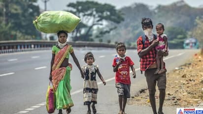 അതിഥി തൊഴിലാളികൾക്കായി പ്രത്യേക വെബ്സൈറ്റ് തുടങ്ങണമെന്ന് സുപ്രീം കോടതി
