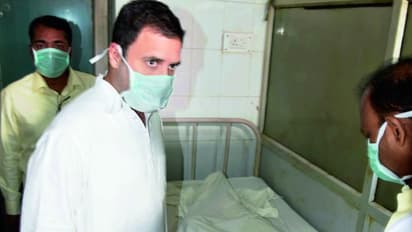 আমেঠি মুখ ফেরালেও রাহুল মনে রেখেছেন তাঁর পুরনো লোকসভা কেন্দ্রকে, লকডাউনে পাঠালেন ত্রাণ