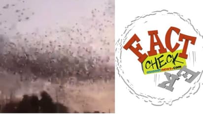 'ലോക്ക് ഡൌണില്‍ സ്വാതന്ത്ര്യം ആഘോഷിച്ച് പക്ഷികളുടെ സംഘനൃത്തം'; അഹമ്മദാബാദില്‍ നിന്നുള്ള വീഡിയോയ്ക്ക് പിന്നില്‍