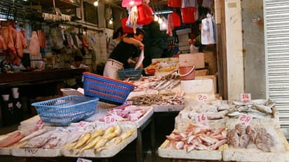 করোনা আতঙ্কের মধ্যেই বাদুড় বিক্রির সিদ্ধান্ত চিনের, ভয়ঙ্কর পরিণতি আশঙ্কা বিজ্ঞানীদের