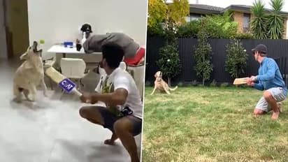 വില്യംസണാവാന് നോക്കി ശ്രേയസ് അയ്യരും, ആദ്യം പാളിയെങ്കിലും ഒടുവില് സംഗതി ക്ലിക്കായി