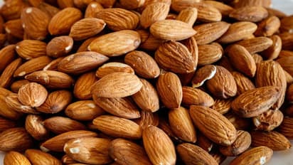 ബദാം അടുക്കളത്തോട്ടത്തിലേക്ക്; ഈ ചൂടുകാലത്തും വളരും