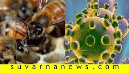 ಕೊರೋನಾ ವೈರಸ್ ನಿವಾರಣೆ ಹೋಮದ ವೇಳೆ ಜೇನು ದಾಳಿ!
