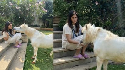 కొంత మంది క్రూరులు దారుణంగా ప్రవర్తిస్తున్నారు: ఉపాసన