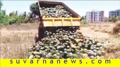 ಲಾಕ್‌ಡೌನ್: 8 ಎಕರೆ ಕಲ್ಲಂಗಡಿ ನಾಶ ಮಾಡಿದ ರೈತ