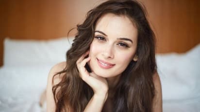 கவர்ச்சியில் உச்சம் தொட்ட நடிகை... கொசுவலை உடையில் மொத்த உடலையும் காட்டிய ஈவ்லின் ஷர்மா!