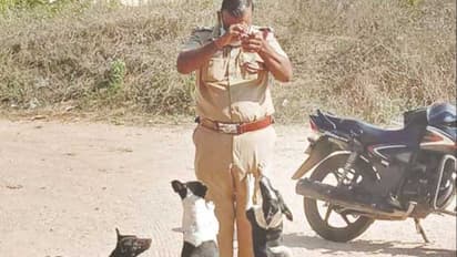 ದೇಸಿ ಶ್ವಾನಗಳಿಗೆ ಅಧಿಕೃತ ಸಾಕುಪ್ರಾಣಿ ಪಟ್ಟ.. ಕೇಂದ್ರದ ಹೊಸ ಯೋಜನೆ