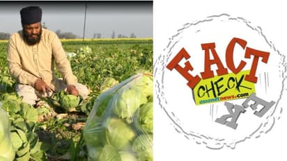 'കൊവിഡാണ്, കാബേജ് കഴിക്കരുത്'; നിർദേശം നല്‍കിയോ ലോകാരോഗ്യ സംഘടന