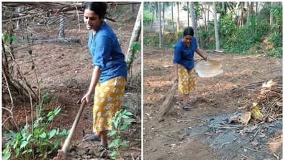 എല്ലാം നല്ലതിനാണെന്നേ, ഒക്കെ ശരിയാവും; പറമ്പില് നിന്നുള്ള ഫോട്ടോ ഷെയര് ചെയ്ത് സുരഭി ലക്ഷ്മി