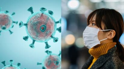 കൊവിഡ് 19 വന്ന ഒരാള്‍ക്ക്  വീണ്ടുമീ രോഗം വരുമോ?