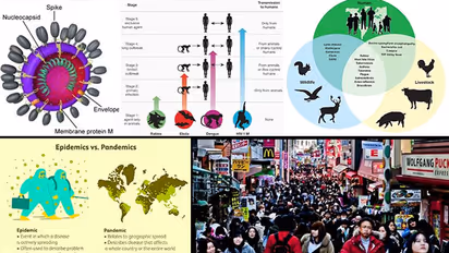 Coronavirus: Population explosion, human animal interface associated with pandemics