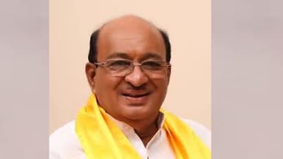 ఎన్టీఆర్.. టీడీపీ కోసం పనిచేయాలి.. గోరంట్ల