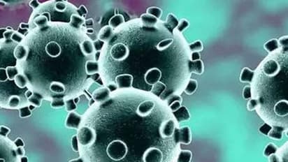 കൊവിഡ് കാലത്തെ അതിജീവിക്കാന് സര്ക്കാരിനൊപ്പം കലാകാരന്മാരും; കേരളാമാതൃകയ്ക്ക് പിന്തുണതേടി ലളിതകലാ അക്കാദമി