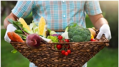 ലോക്ക് ഡൗൺ: പതിനായിരത്തോളം പേരെ ജോലിക്കെടുക്കാനൊരുങ്ങി ബിഗ് ബാസ്കറ്റ്