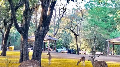 শীতে গেলেই হয় 'গড়চুমুক', রইল কলকাতার কাছে সেরা ৫ ঘুরতে যাওয়ার ঠিকানা