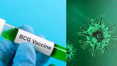 കൊവിഡ് 19; ബിസിജി വാക്സിൻ നിർണായകമെന്ന് യുഎസിലെ ശാസ്ത്രജ്ഞർ