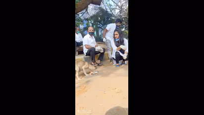 ಮೂಕಪ್ರಾಣಿಗಳಿಗೆ ಚಿತ್ರರಂಗದಿಂದ ಆಹಾರ ವಿತರಣೆ; ಫೋಟೋ ನೋಡಿ