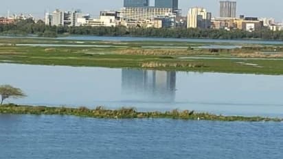 শুধু গঙ্গা নয়, লকডাউনের কারণে রঙ বদলাচ্ছে দিল্লি সংলগ্ন যমুনা