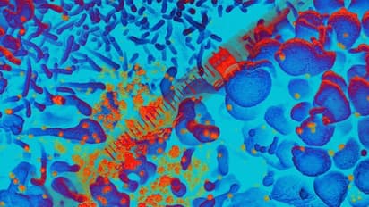 48గంటల్లో కరోనాని చంపే మందు.. దొరికేసిందా...?