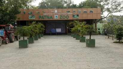 Coronavirus: Zoos in India put on high alert after tiger tests positive for COVID-19 in US
