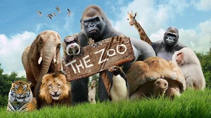 ಪ್ರಾಣಿಗಳಿಗೂ ಅಂಟಿದ ಮಹಾಮಾರಿ ಕೊರೋನಾ: ಭಾರತದಲ್ಲಿ ಹೈಅಲರ್ಟ್