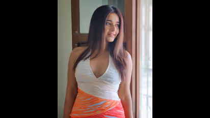 నాగార్జున 'బాస్' హీరోయిన్ ఇప్పుడెలా ఉందో చూశారా.. వైరల్ ఫోటోస్