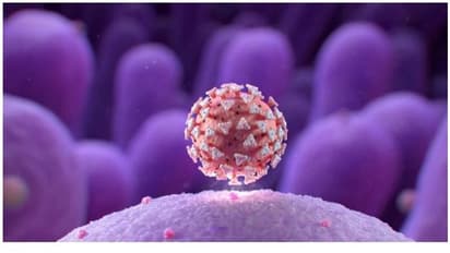 തബ് ലീഗ് സമ്മേളനത്തിൽ പങ്കെടുത്ത ഇന്തോനേഷ്യൻ പൗരന്മാർക്കെതിരെ കേസെടുത്തു