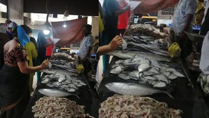 ഓപ്പറേഷൻ സാഗർ റാണി; 350 കിലോ പഴകിയ മത്സ്യം പിടികൂടി നശിപ്പിച്ചു