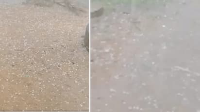 ஊரடங்கிற்கு நடுவே திருப்பத்தூரில் ஆலங்கட்டி மழை... மகிழ்ச்சியில் ஆட்டம் போட்ட மக்கள்..!