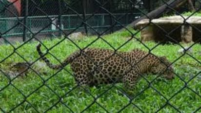 No entry to zoos, eco tourism centres in Kerala even after lockdown is lifted