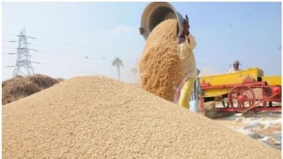 ಲಾಕ್ಡೌನ್: ಬತ್ತ ಕಟಾವಿಗೂ ಸಮಸ್ಯೆ, ಕಾರ್ಮಿಕರು ಸಿಗದೆ ಕಂಗಾಲಾದ ರೈತ!