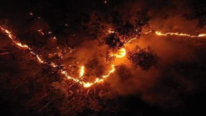 Uttarakhand's violent forest fires: The burning issue and threat to nature