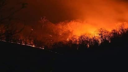 ದುಬಾರೆ ಮೀಸಲು ಅರ​ಣ್ಯ​ದಲ್ಲಿ ಬೆಂಕಿ : ಪ್ರಾಣಿಗಳು ಆಹುತಿ