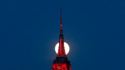 Largest supermoon of 2020 rises while world battles COVID-19