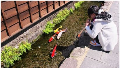 ഈ നഗരത്തിലെ ഓടകളിലെല്ലാം ശുദ്ധമായ, പളുങ്കുപോലുള്ള വെള്ളം, നീന്തിത്തുടിച്ച് അലങ്കാര മീനുകൾ; കാരണമിത്