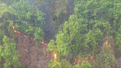 After Amazon, Australia wildfire, forest fire in India’s Susunia Hill