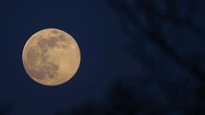 Supermoon 2022 : സൂപ്പർ ബക്ക് മൂൺ ദൃശ്യമാകും, എവിടെ കാണാം ഈ പ്രതിഭാസം