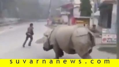 ಲಾಕ್‌ಡೌನ್‌ ವೇಳೆ ರಸ್ತೆಗಿಳಿದವನ ಅಡ್ಡಾಡಿಸಿದ ಖಡ್ಗಮೃಗ!