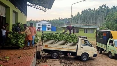 മൂന്ന് ദിവസം, ബത്തേരി താലൂക്കില് നിന്ന് മാത്രം ഹോര്ട്ടി കോര്പ്പ് സംഭരിച്ചത് 20 ടണ്ണിലധികം പച്ചക്കറി