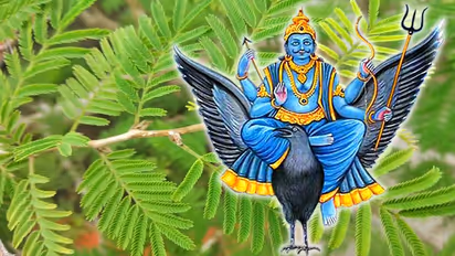 Vastu Tips: ಶನಿ ದೋಷ ಶುರುವಾಗಿದ್ಯಾ? ಈ ಸಸ್ಯದಿಂದ ದೋಷ ನಿವಾರಿಸಿಕೊಳ್ಳಿ..