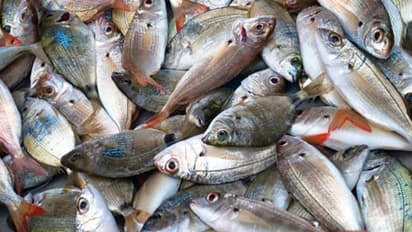 ഈ ലോക് ഡൗൺ കാലത്ത് ഫ്രഷായ മീന് എങ്ങനെ തിരിച്ചറിയാം, ഇതാ ചില വഴികൾ