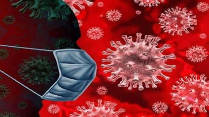 ನಾಯಿ ಮರಿಗಳನ್ನು ಮಾರಿ ಕೊರೋನಾ ಪರಿಹಾರ ನಿಧಿಗೆ ಹಣ..!